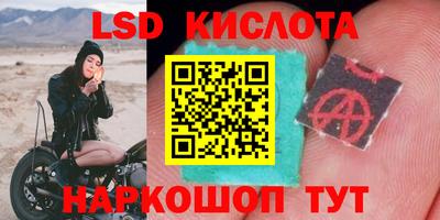 гашик Гусев