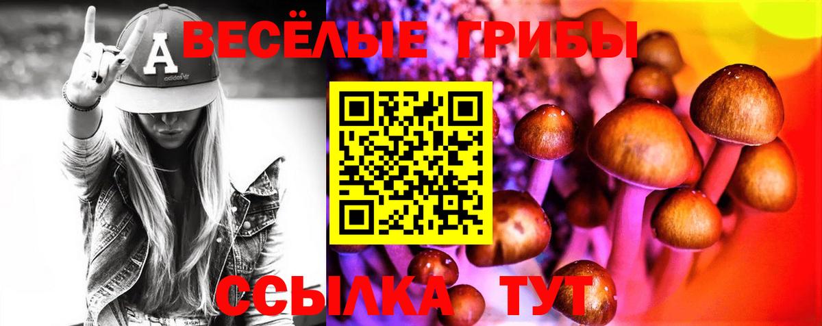 Псилоцибиновые грибы Magic Shrooms  Псилоцибиновые грибы Cubensis  Вход с VPN  Новоалександровск 